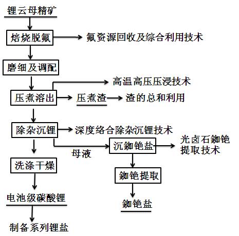 鋰云母氯化鈉壓浸法及資源綜合利用工藝流程圖